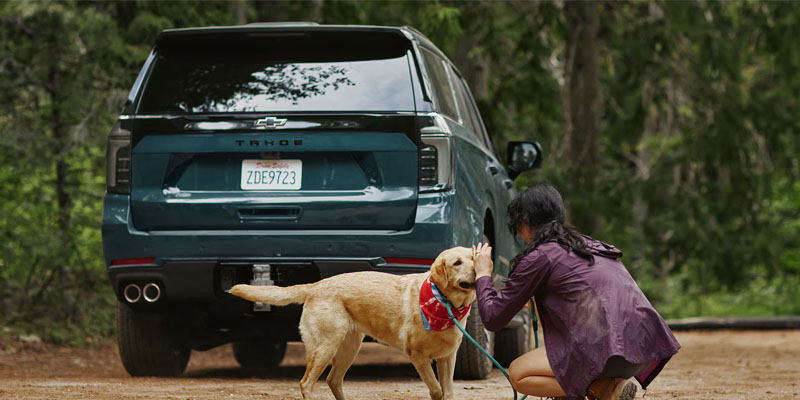 A pet owner and their dog with their family-ready 2026 Chevrolet Tahoe in Akron, OH 