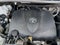 2020 Toyota Sienna XLE 7 Passenger