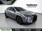 2023 Lexus UX 250h Premium