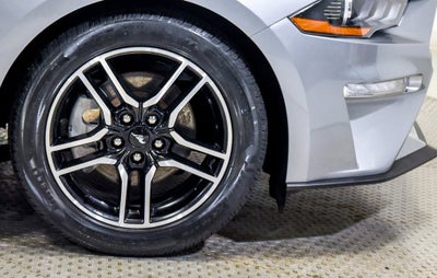 2022 Ford Mustang EcoBoost