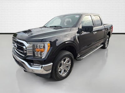 2023 Ford F-150 XL